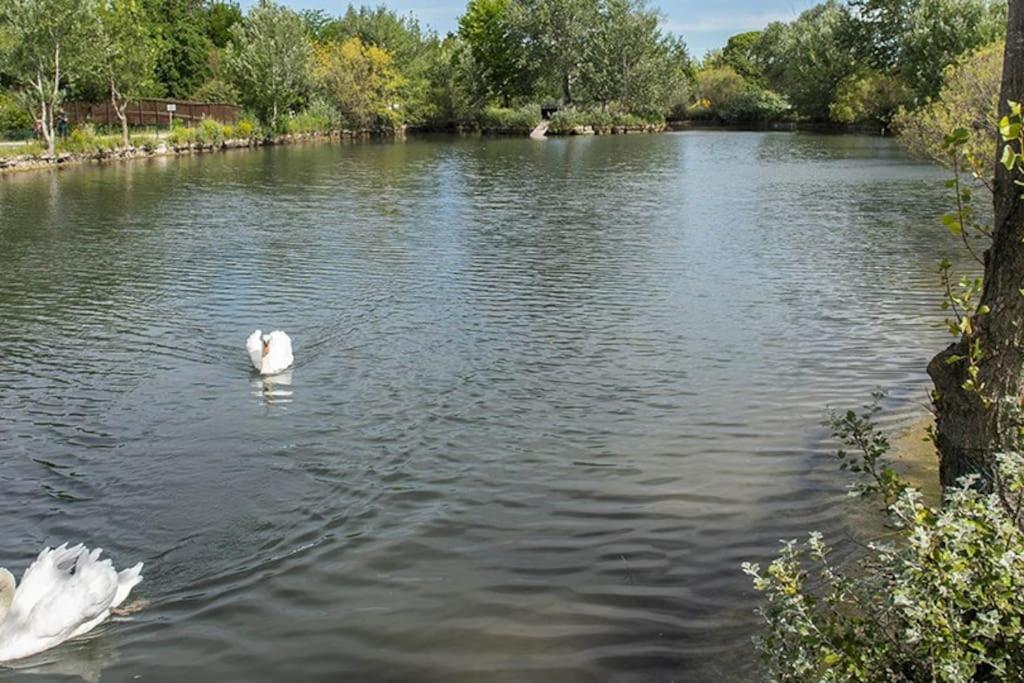 Saint-Saturnin-lès-AvignonLa Provencaleアパートメント エクステリア 写真